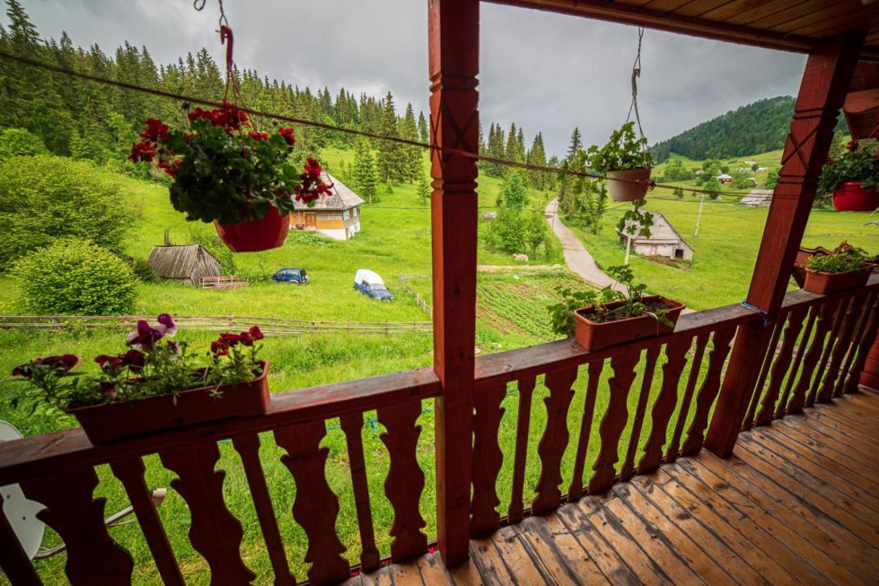 Cabana Creț Ocoale Exterior foto