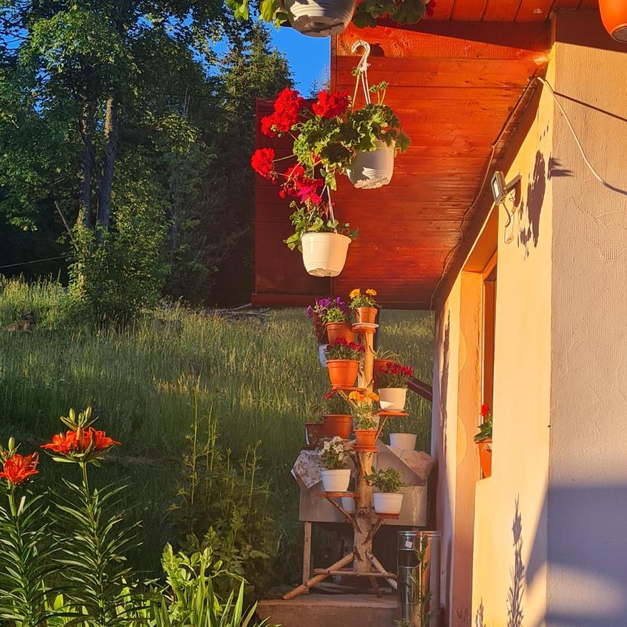 Cabana Creț Ocoale Exterior foto